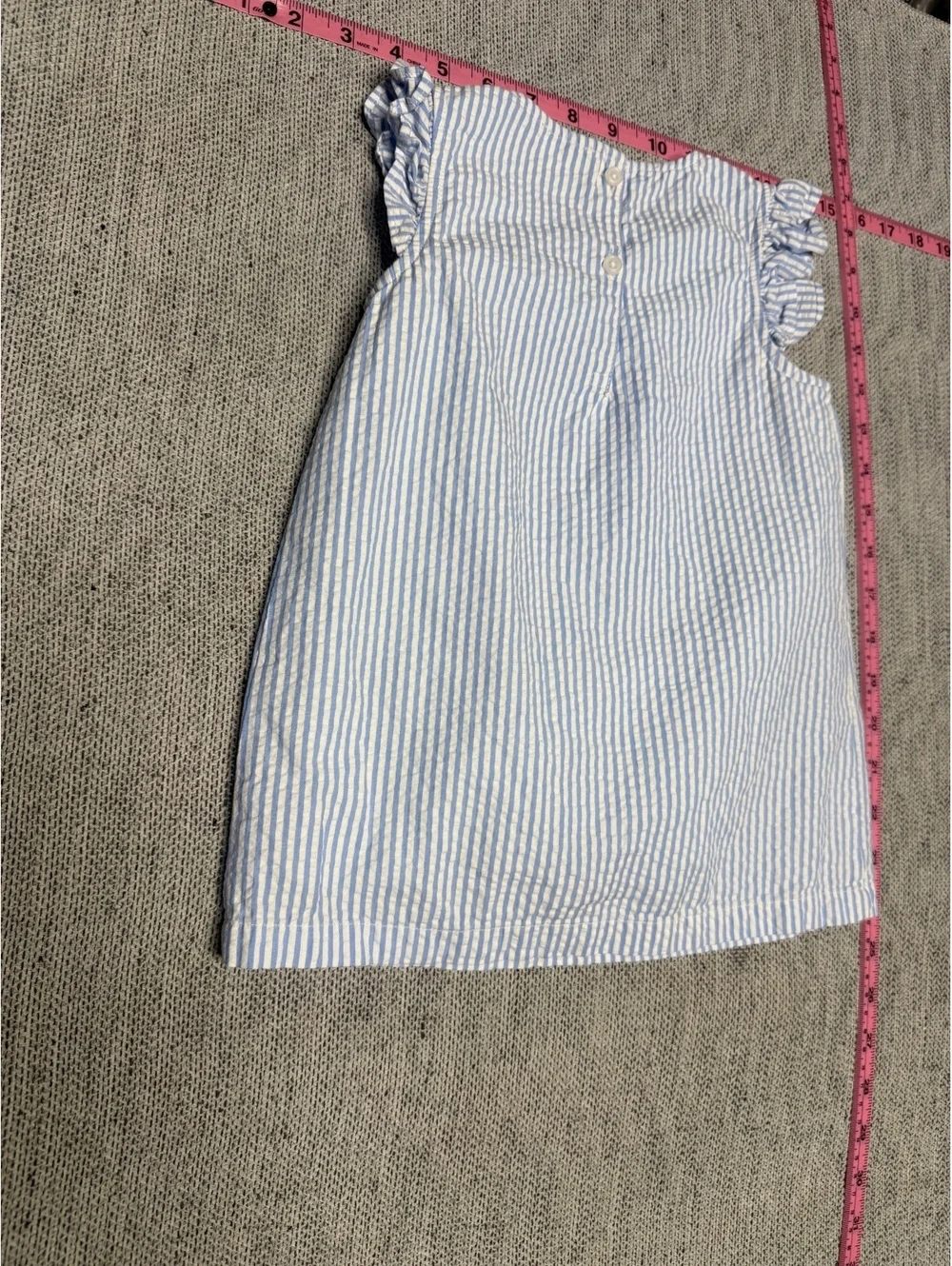 J.Crew Crewcuts Blue Stripe Floral Embroidered Dress 2T